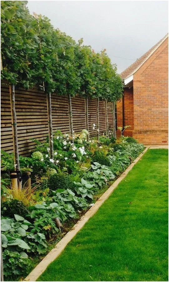 Small Backyard Garden