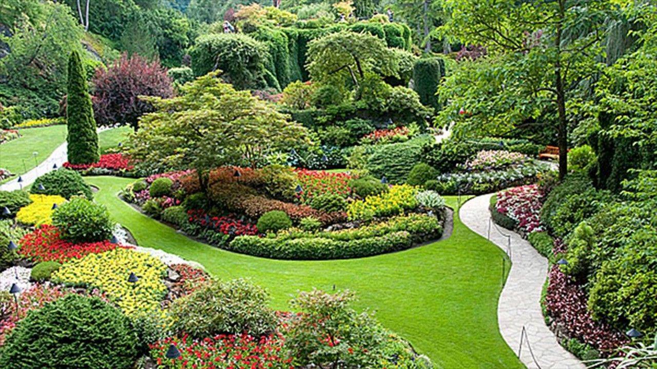 Beautiful Flower Garden