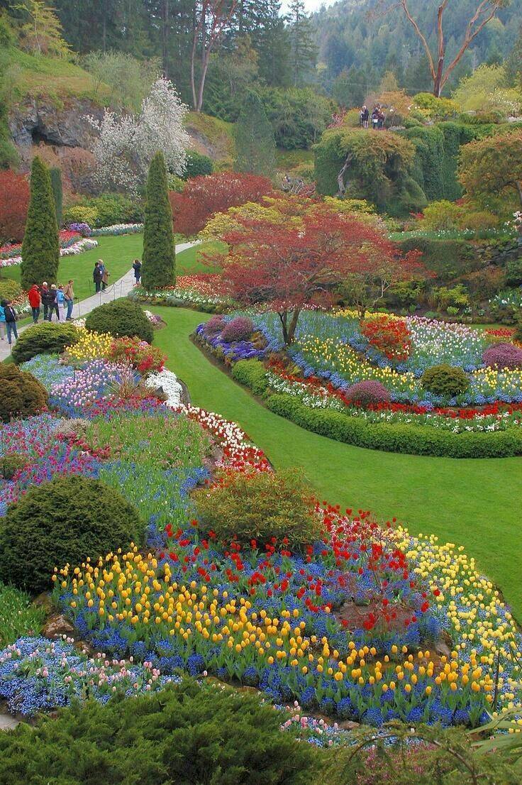 Butchart Gardens