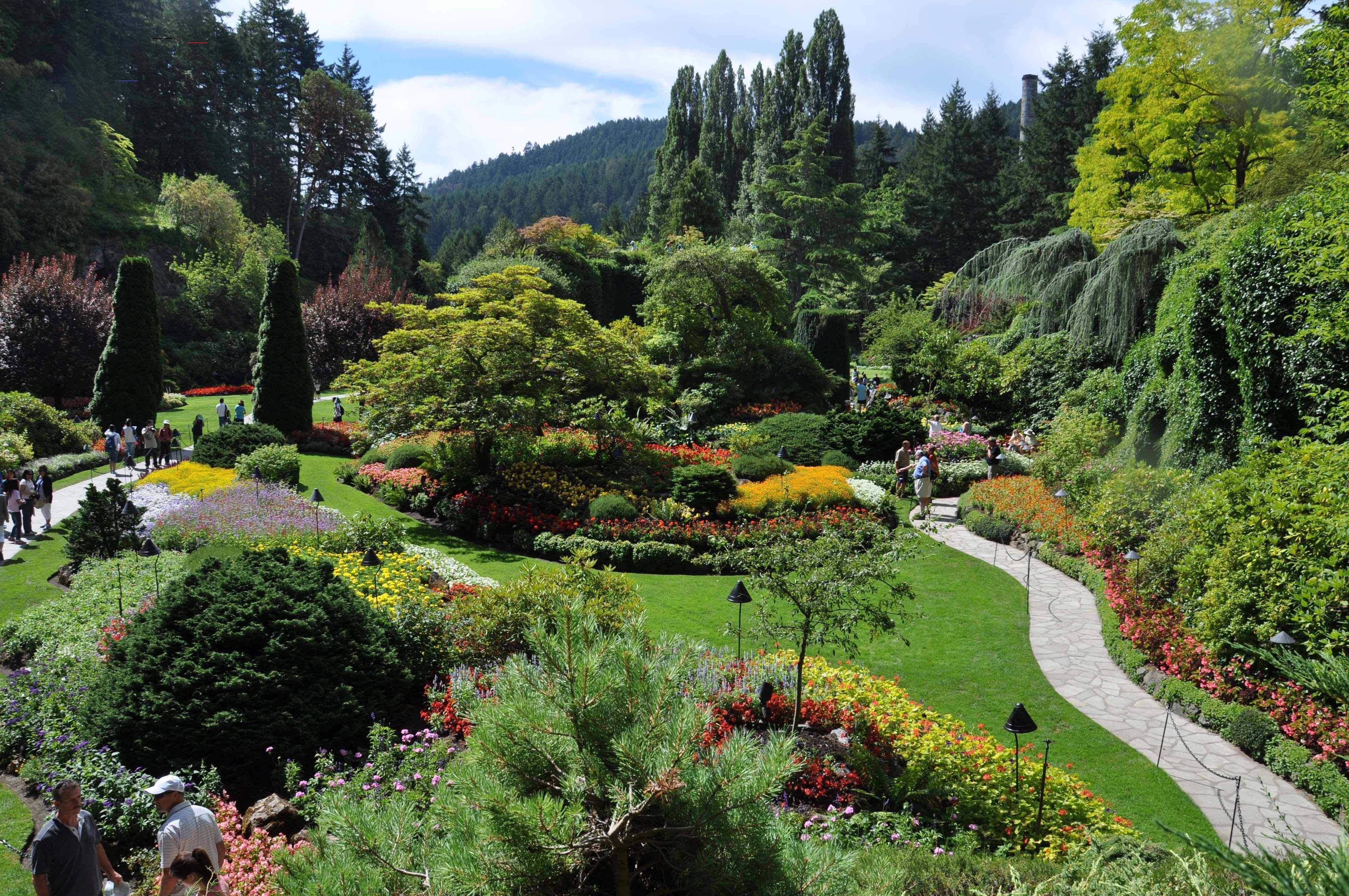 Top Beautiful Backyard Designs