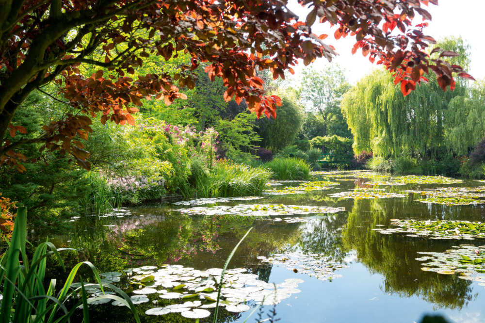 Monet Garden Awesome Ideas