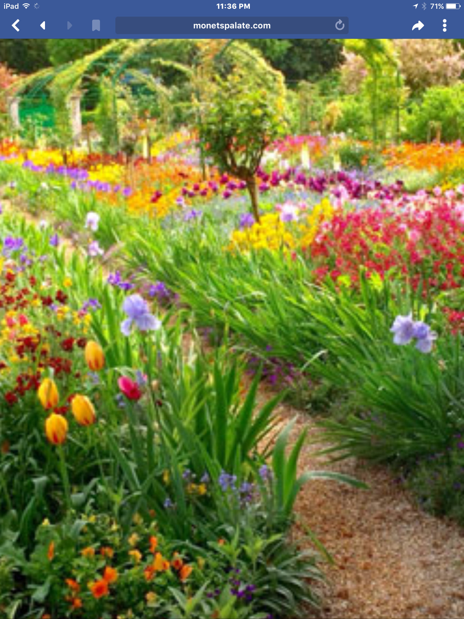 Monets Gardens Monet Giverny Instagram