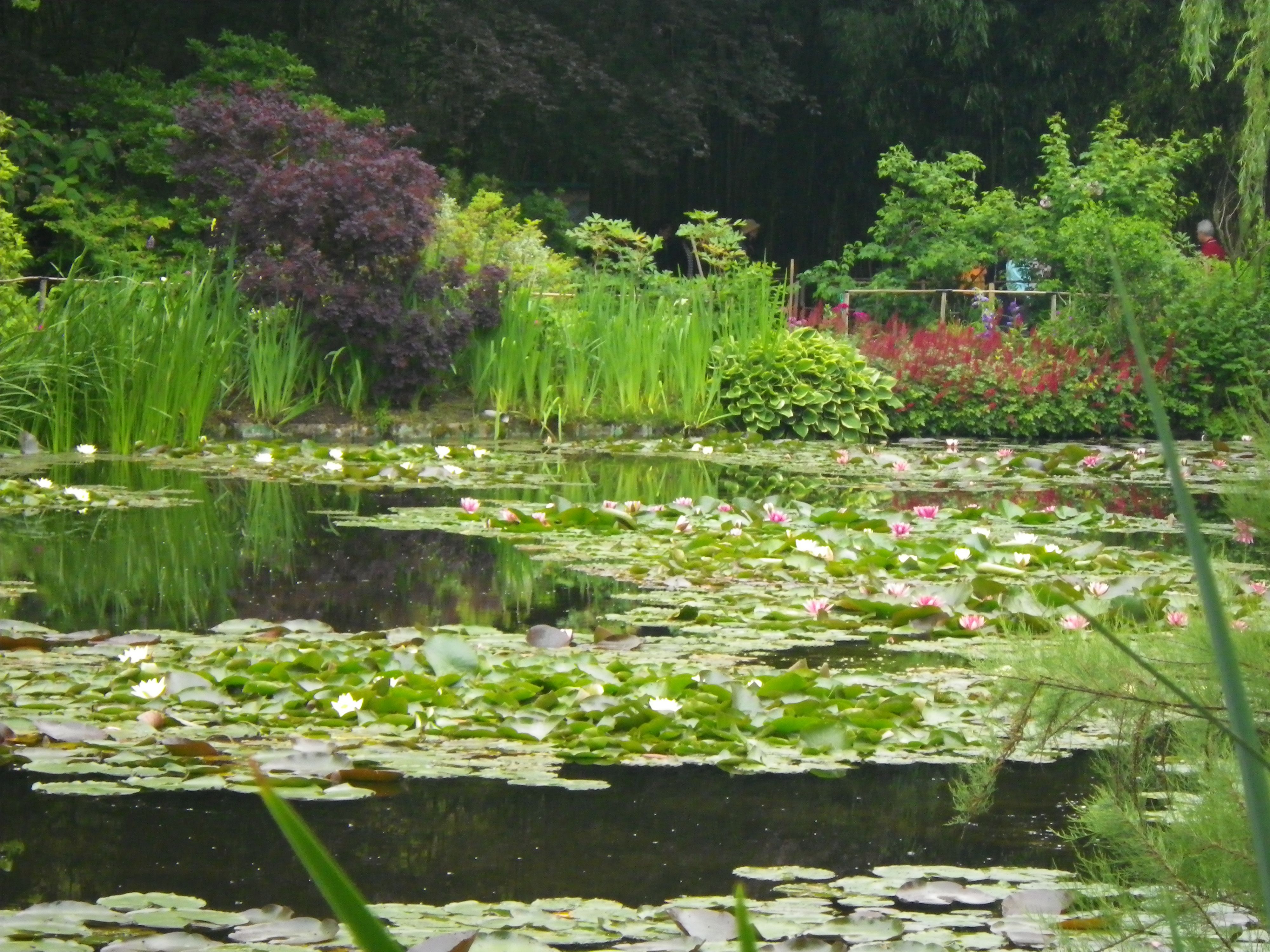 The Man Who Keeps Monets Famed Gardens Growing Monet Garden Giverny