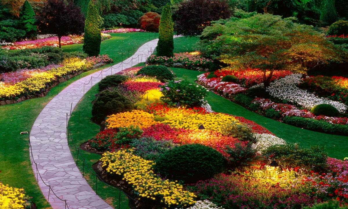 A Unique Garden Design