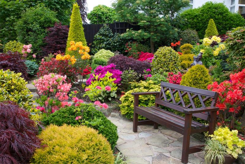 Romantic Backyard Garden Ideas