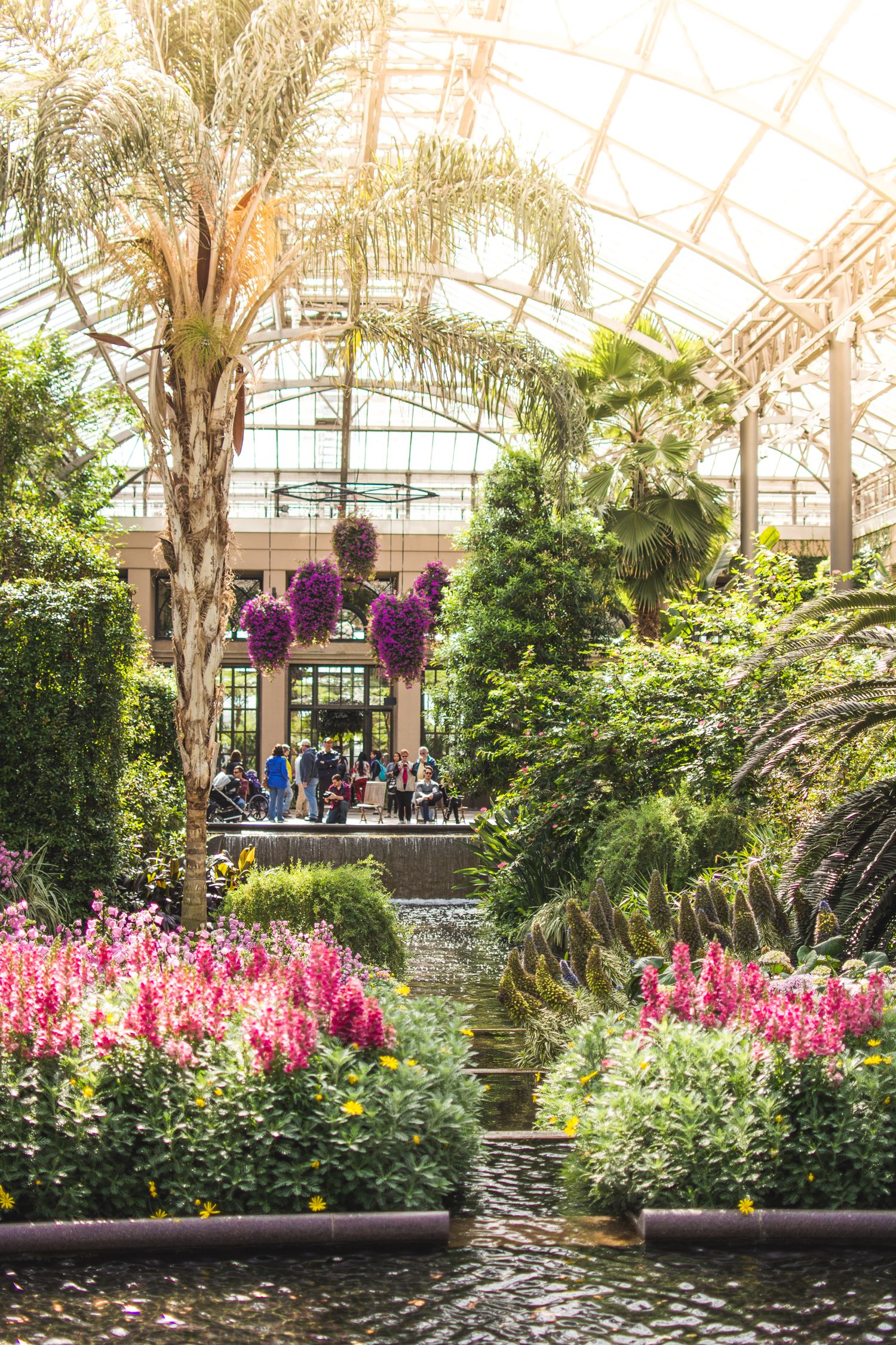 The Country Longwood Gardens