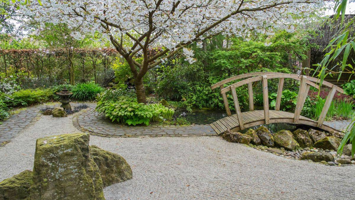 Fresh And Calming Tropical Garden Ideas