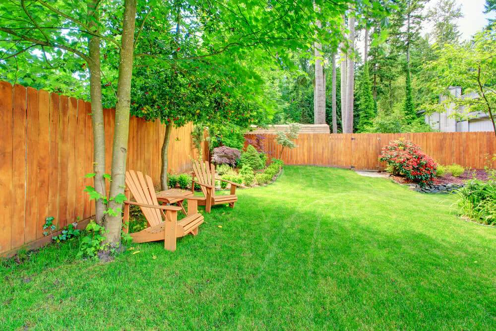Vastu And Plants Plants
