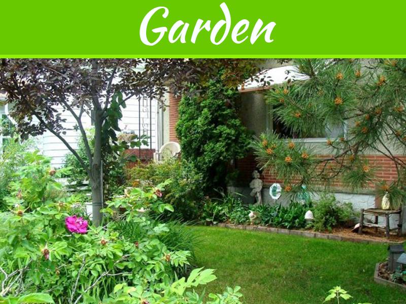 Terrace Garden Slide