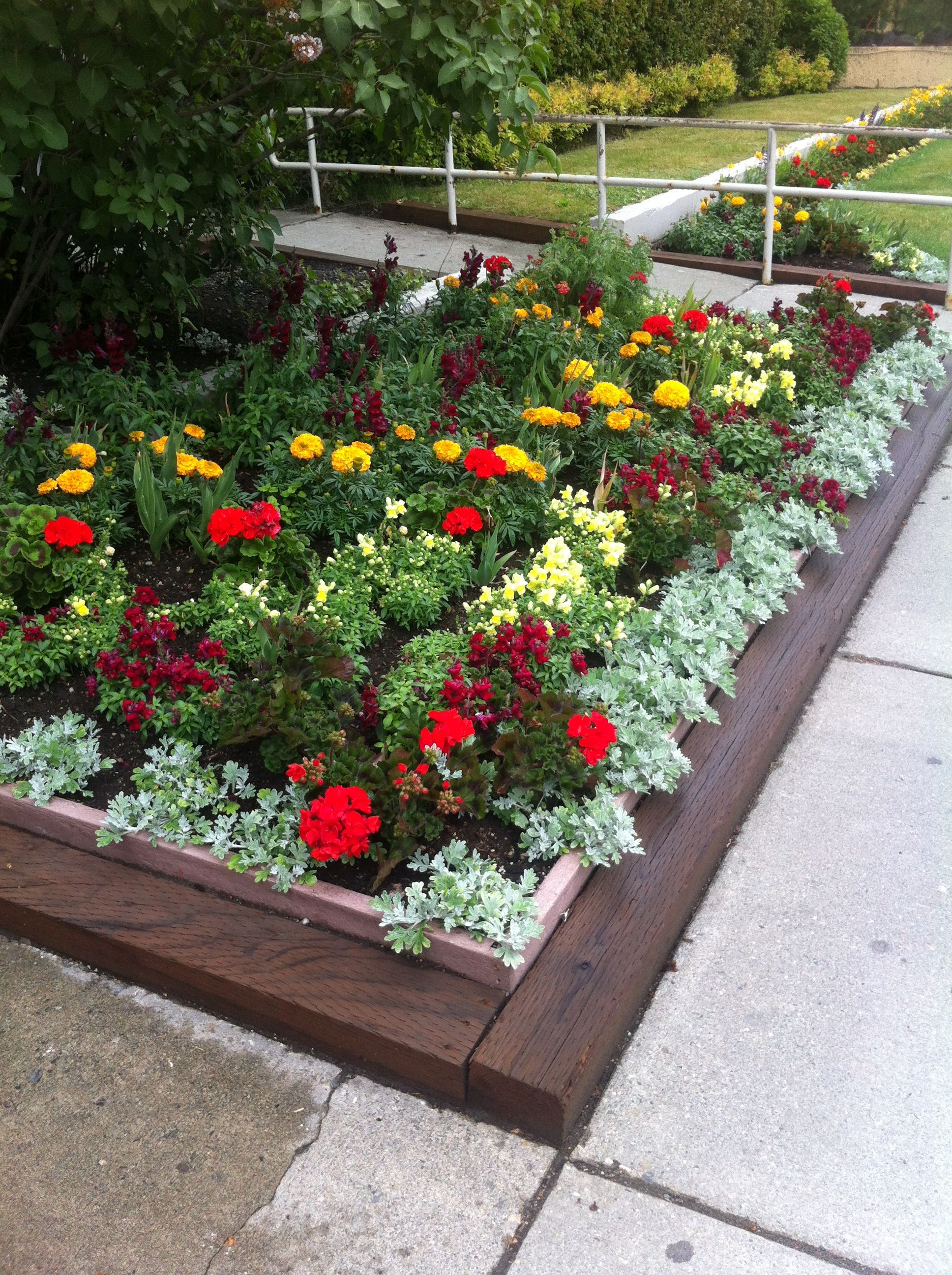 June Flowers