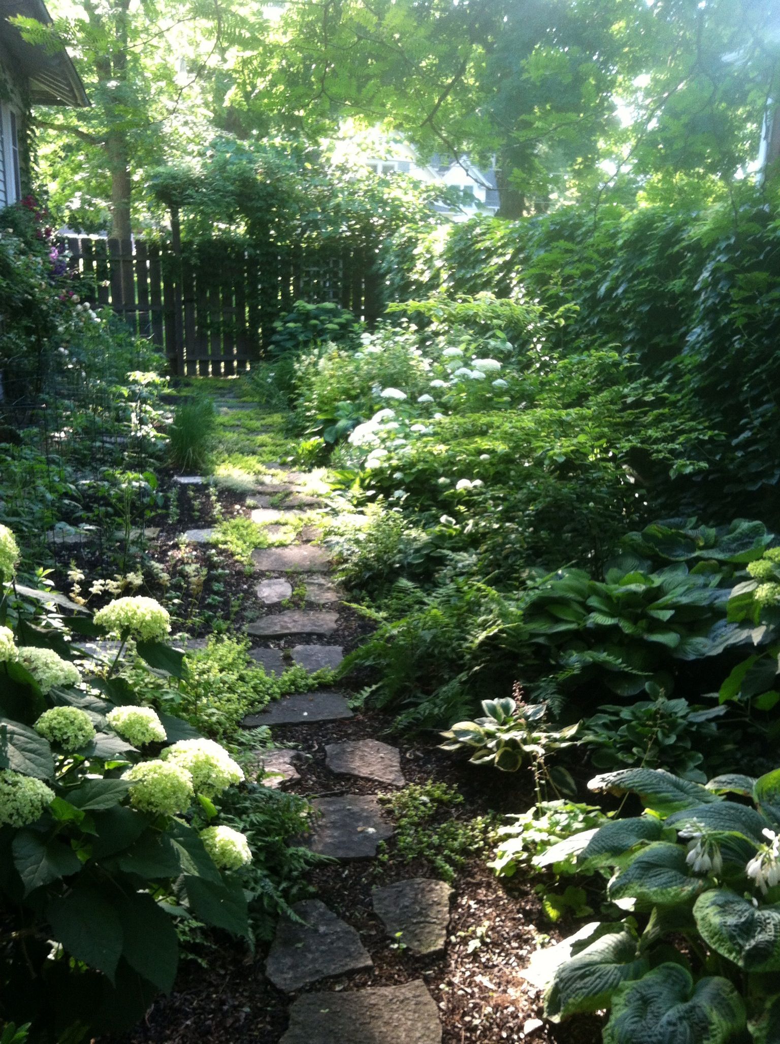 Magical Secret Garden Designs