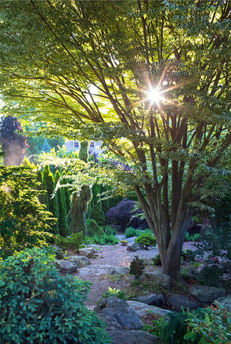 Magical Secret Garden Designs