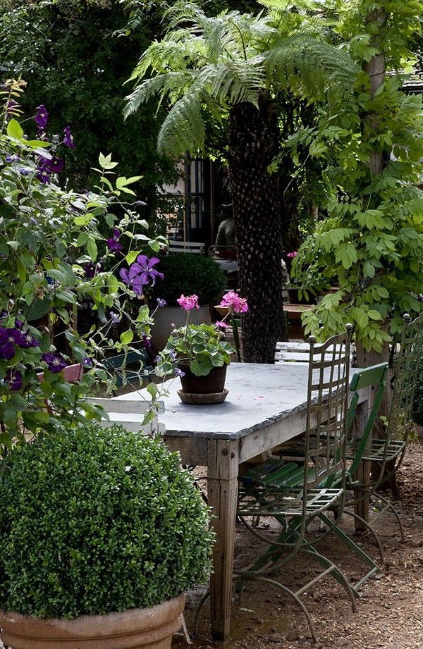 A Magical Backyard Lifestyle