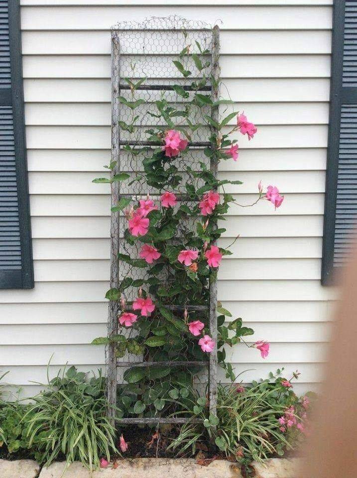 Diy Recycled Garden Trellis Ideas