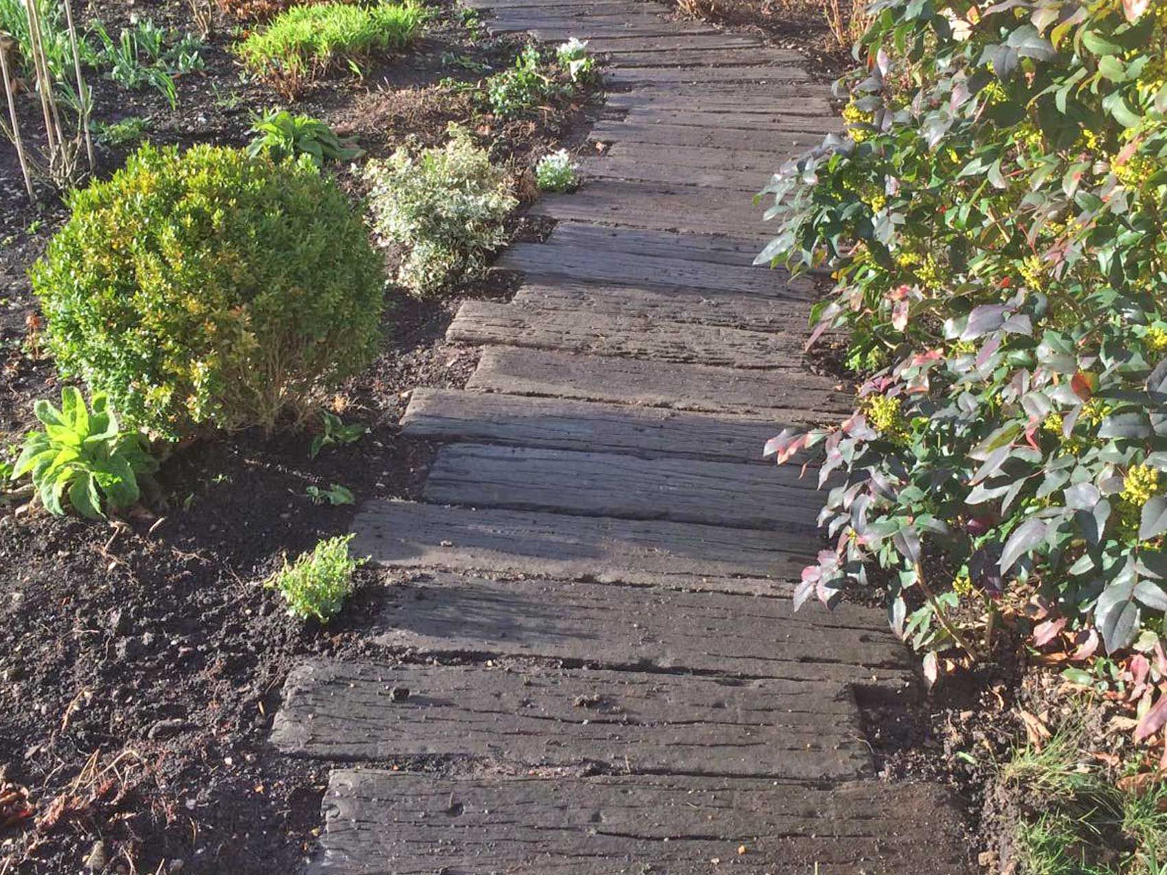 Rustic Sliced Log Stepping Stone Walking Path Sliced Tree Stump