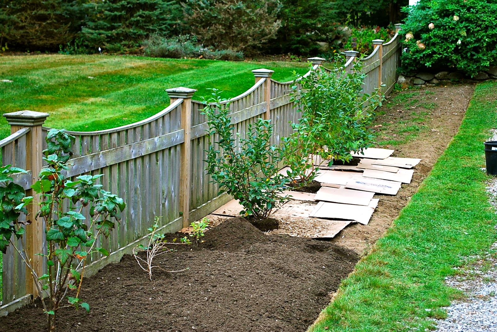 Backyard Fencing Ideas