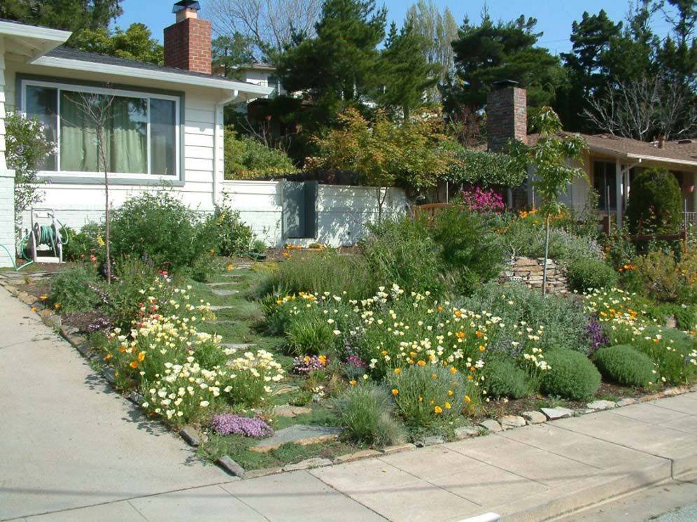 California Landscape Patio Yard Landscaping Small Front Ideas
