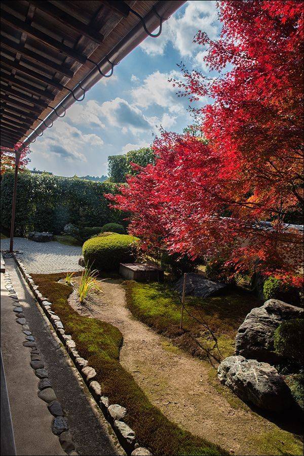 Another Great Japanese Garden