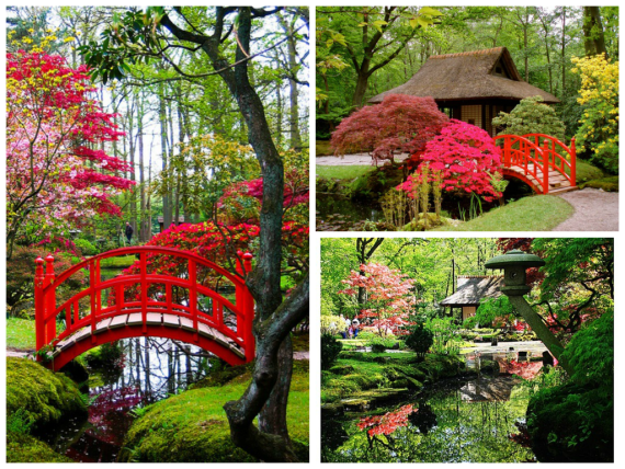 Beautiful Private Japanese Garden