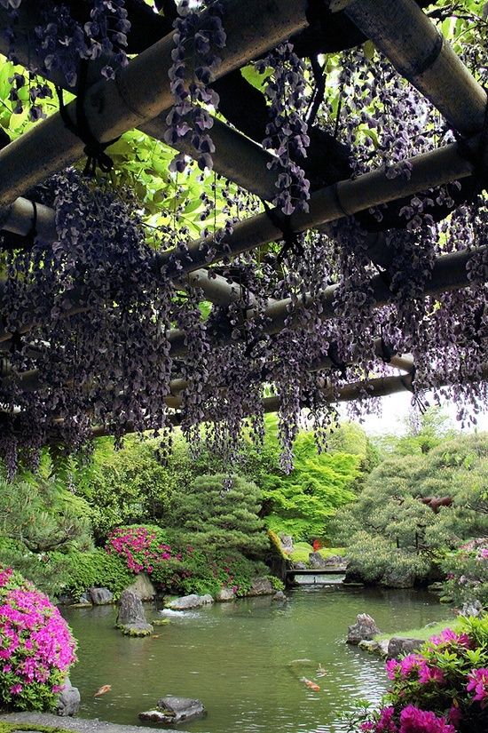 Crazy Japanese Garden Border Ideas