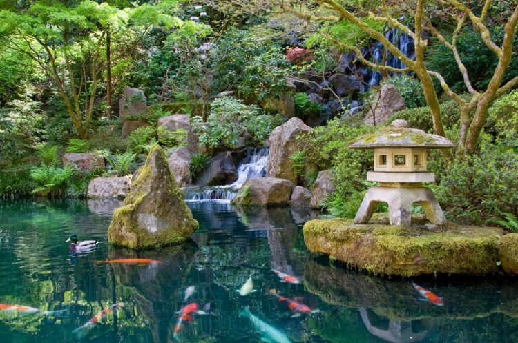 Most Beautiful Japanese Garden Photos