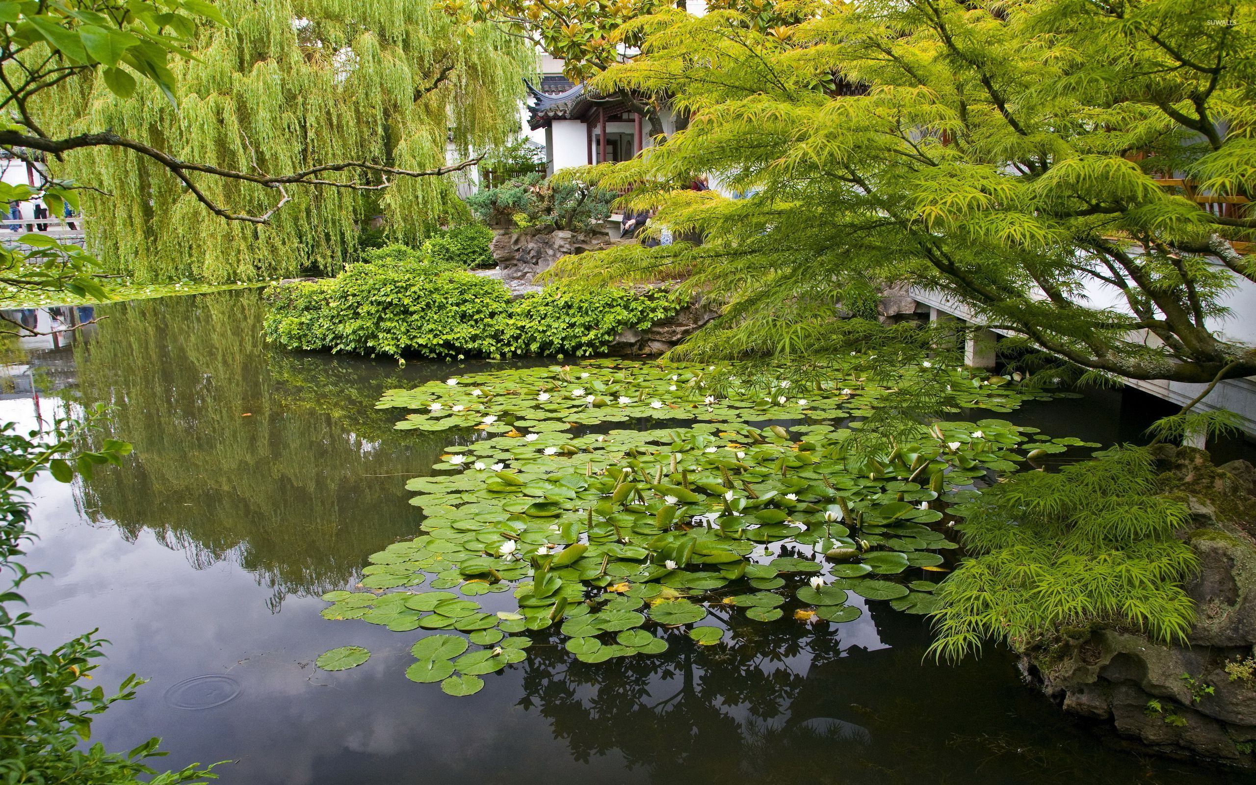 Scenery Japanese Garden