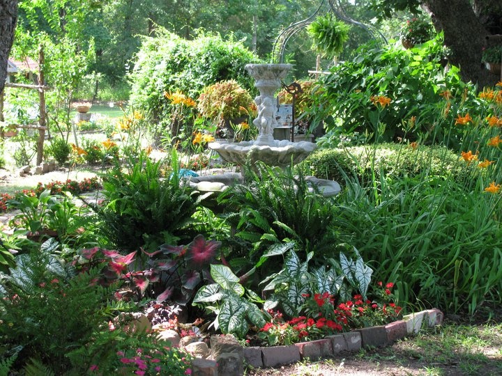 Bonsai Garden