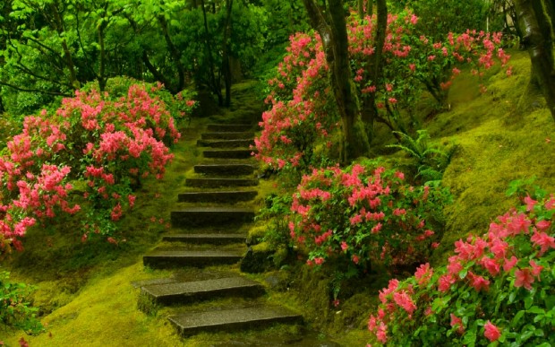 The Most Beautiful Japanese Gardens