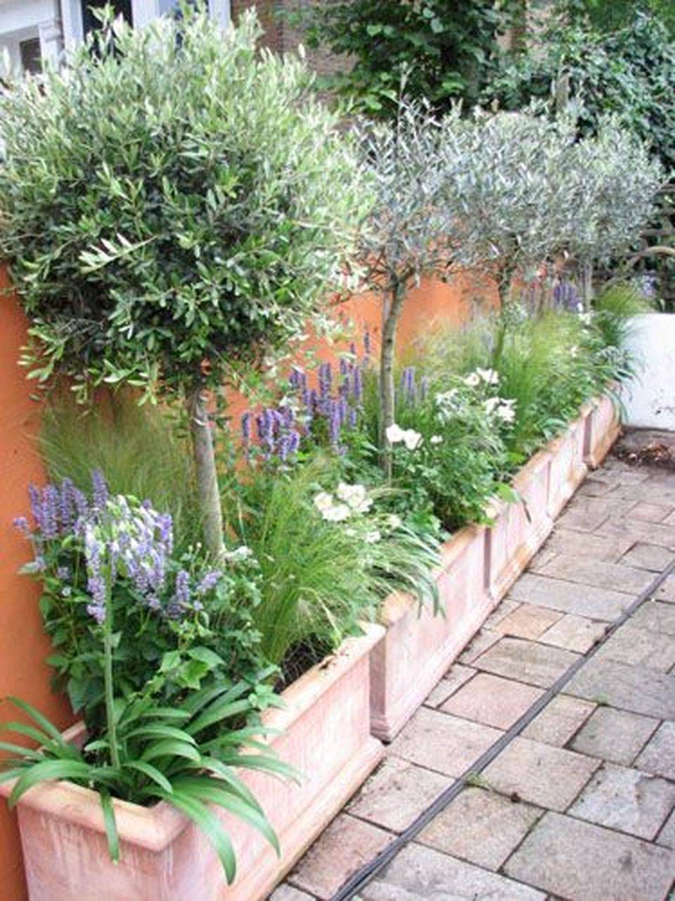 Beautiful Garden Pictures