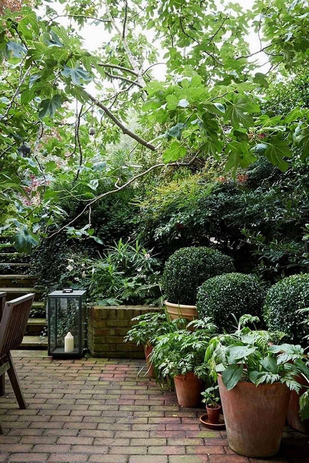 Beautiful Garden Pictures