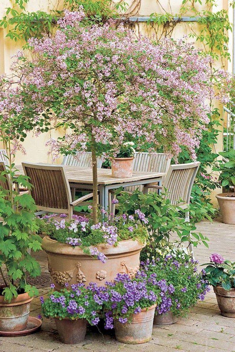 Latest Small Courtyard Garden Design Ideas