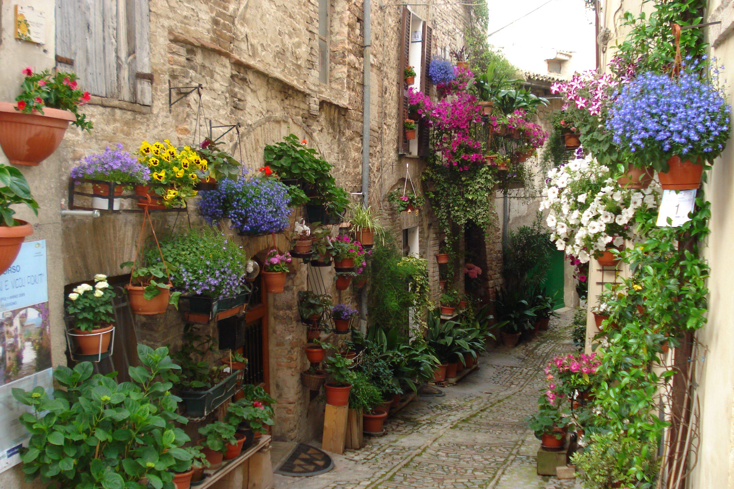 21 Beautiful Italian Courtyard Garden Ideas You Must Look SharonSable