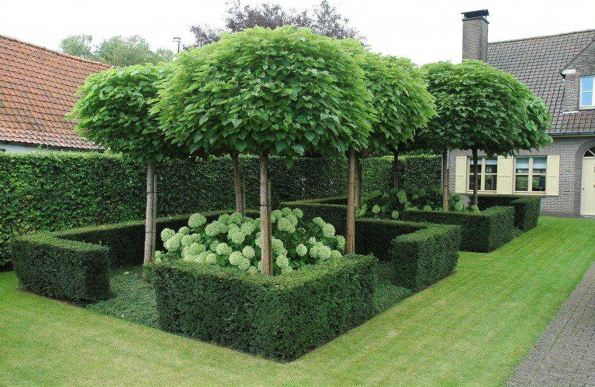 Entertaining Outdoor Gardens