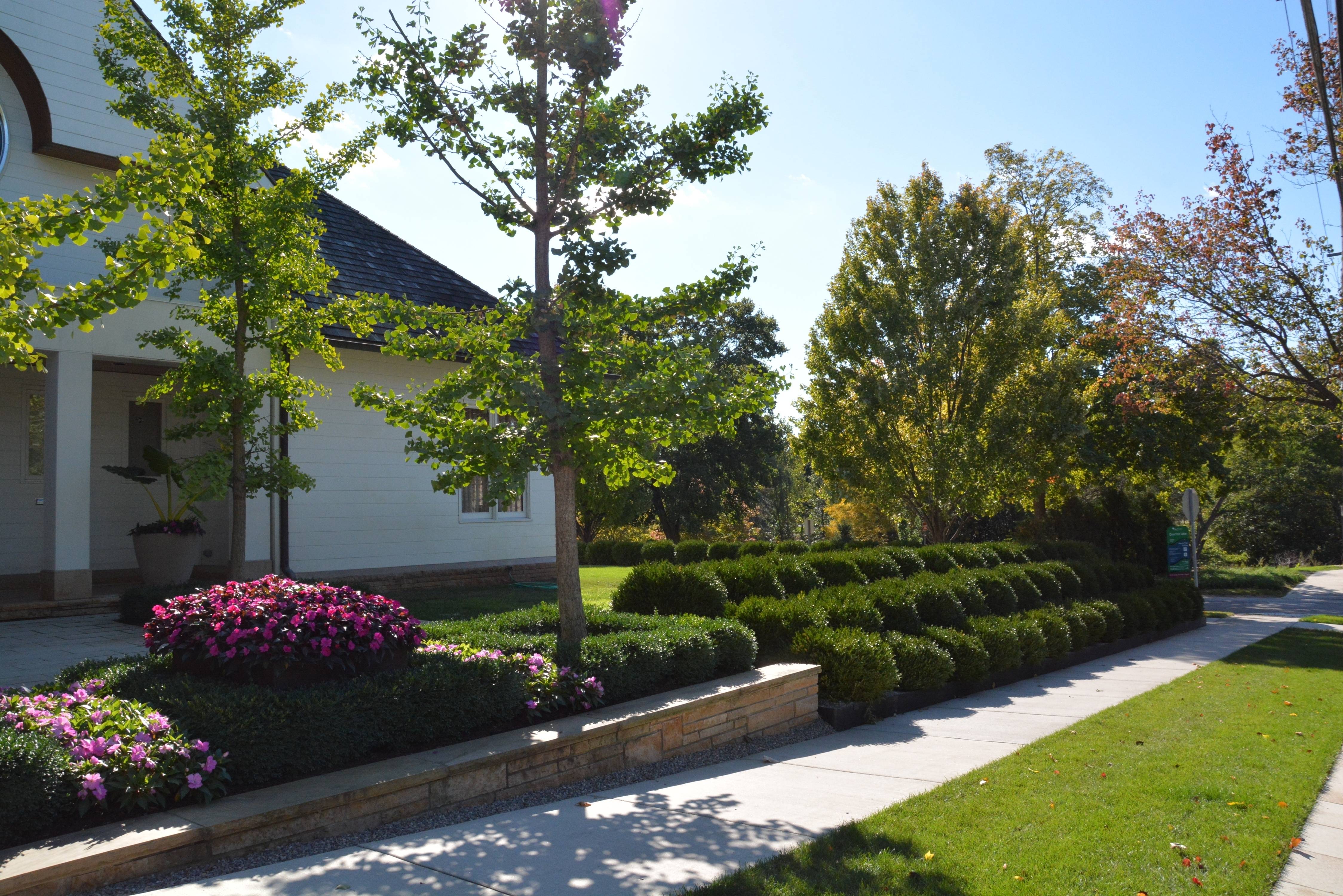 Instant Hedges Landscape Inspiration Garden