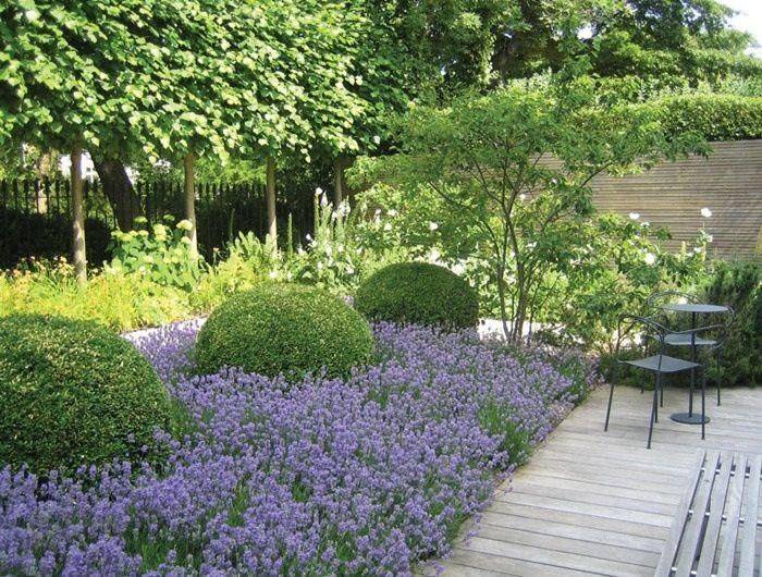 Formalcountrygardenwwwjoannealdersoncom English Garden Design