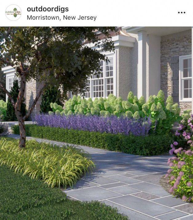 Lavender Garden Designs