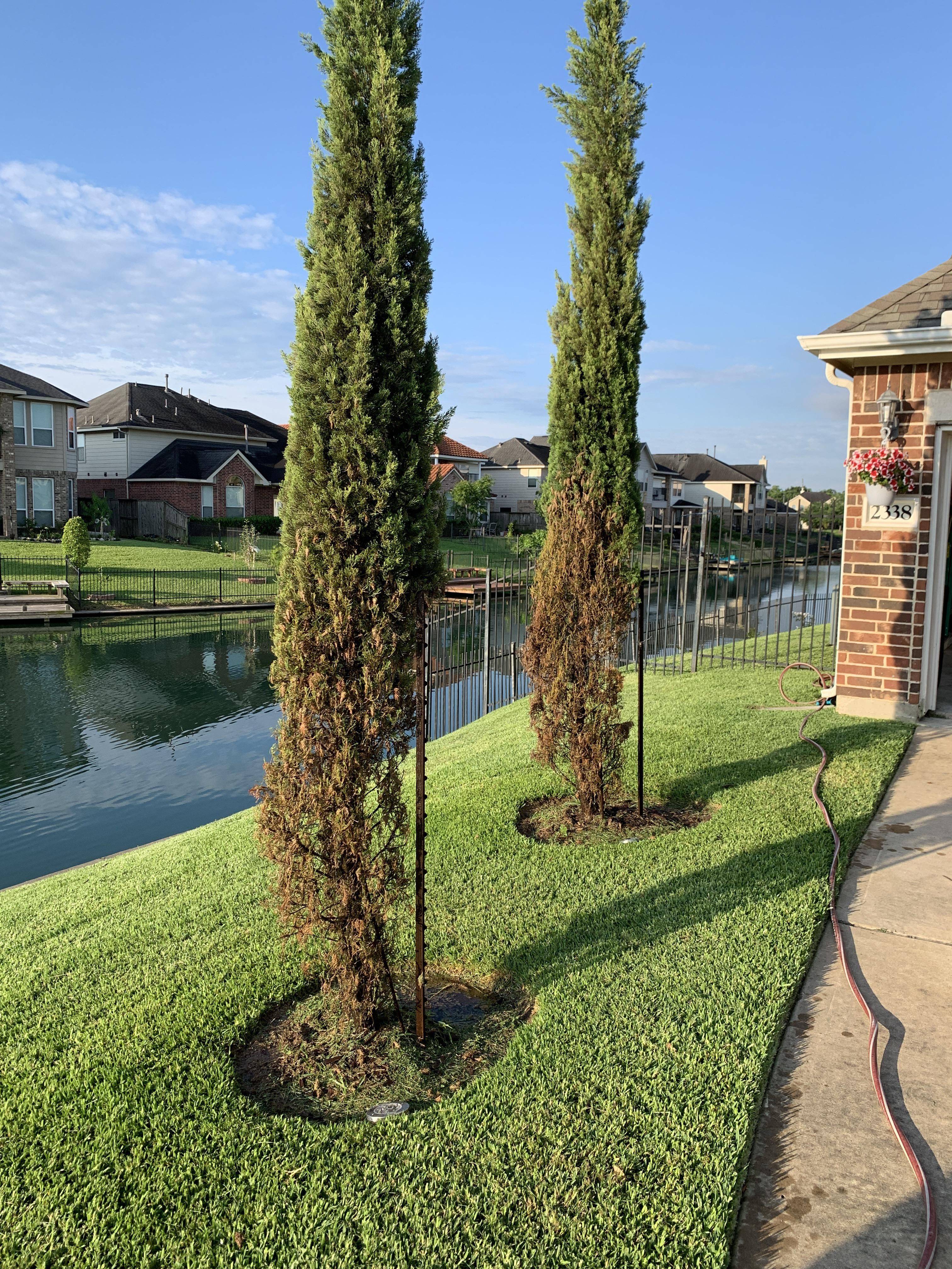 Boxwood Landscaping Ideas