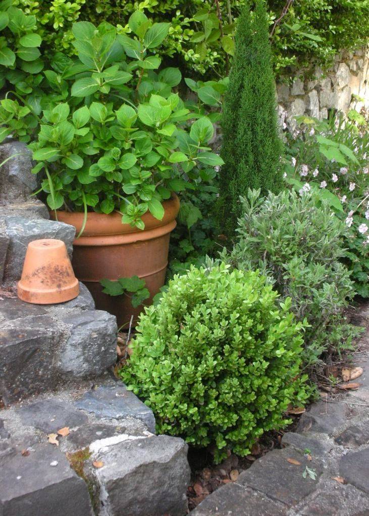 Formal Landscape And Garden Design