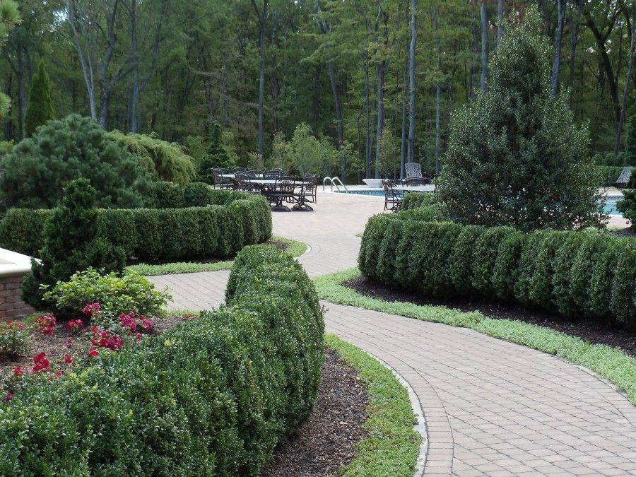 These Beautiful Boxwood Landscaping Ideas