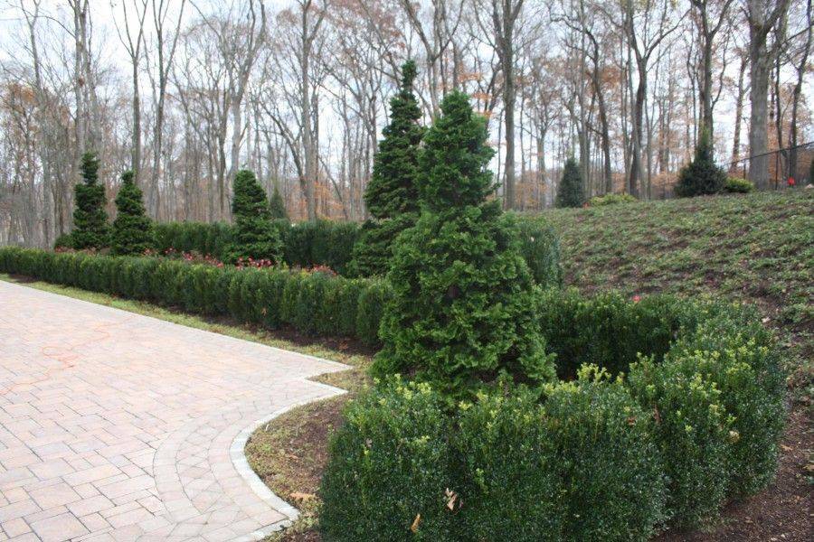 These Beautiful Boxwood Landscaping Ideas