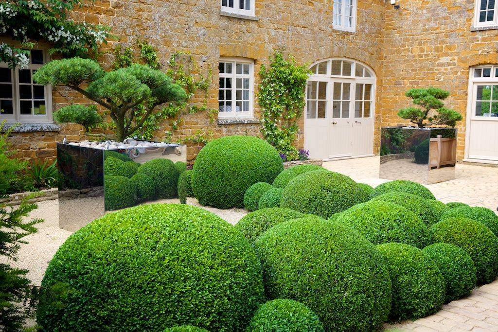 Gorgeous Tropiary Trees Ideas