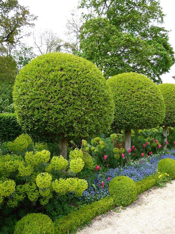 Topiary Garden