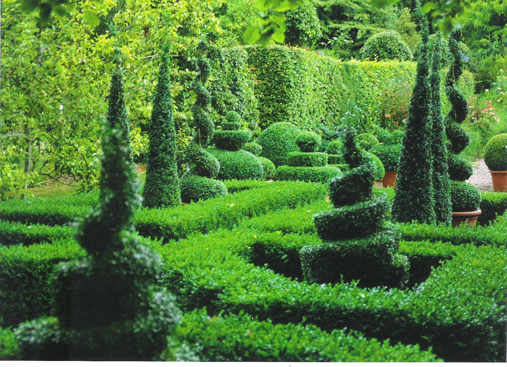 Ivy Clad Boxwood Garden