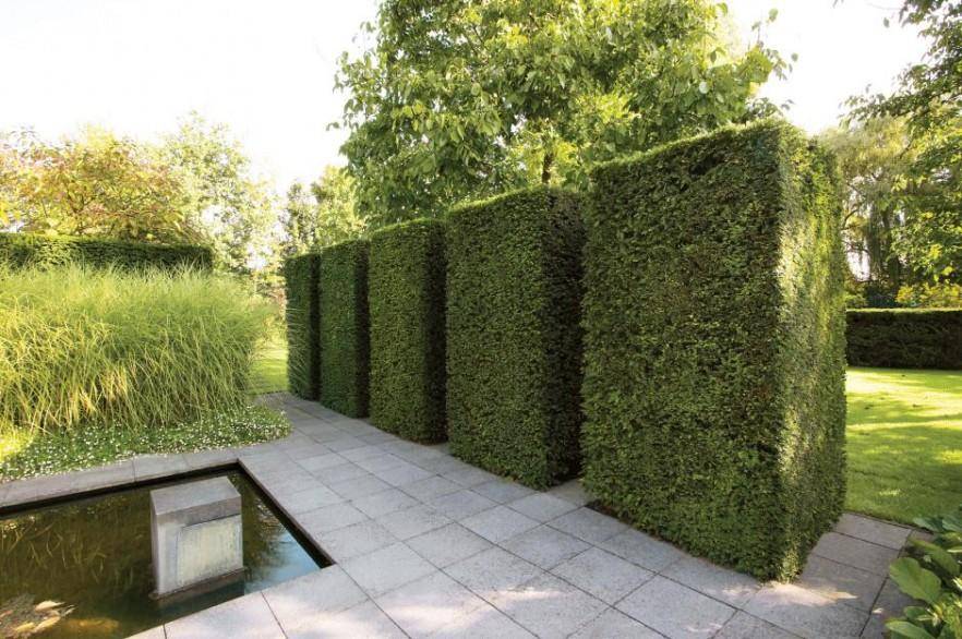 Decorative Garden Hedge Fence Ideas