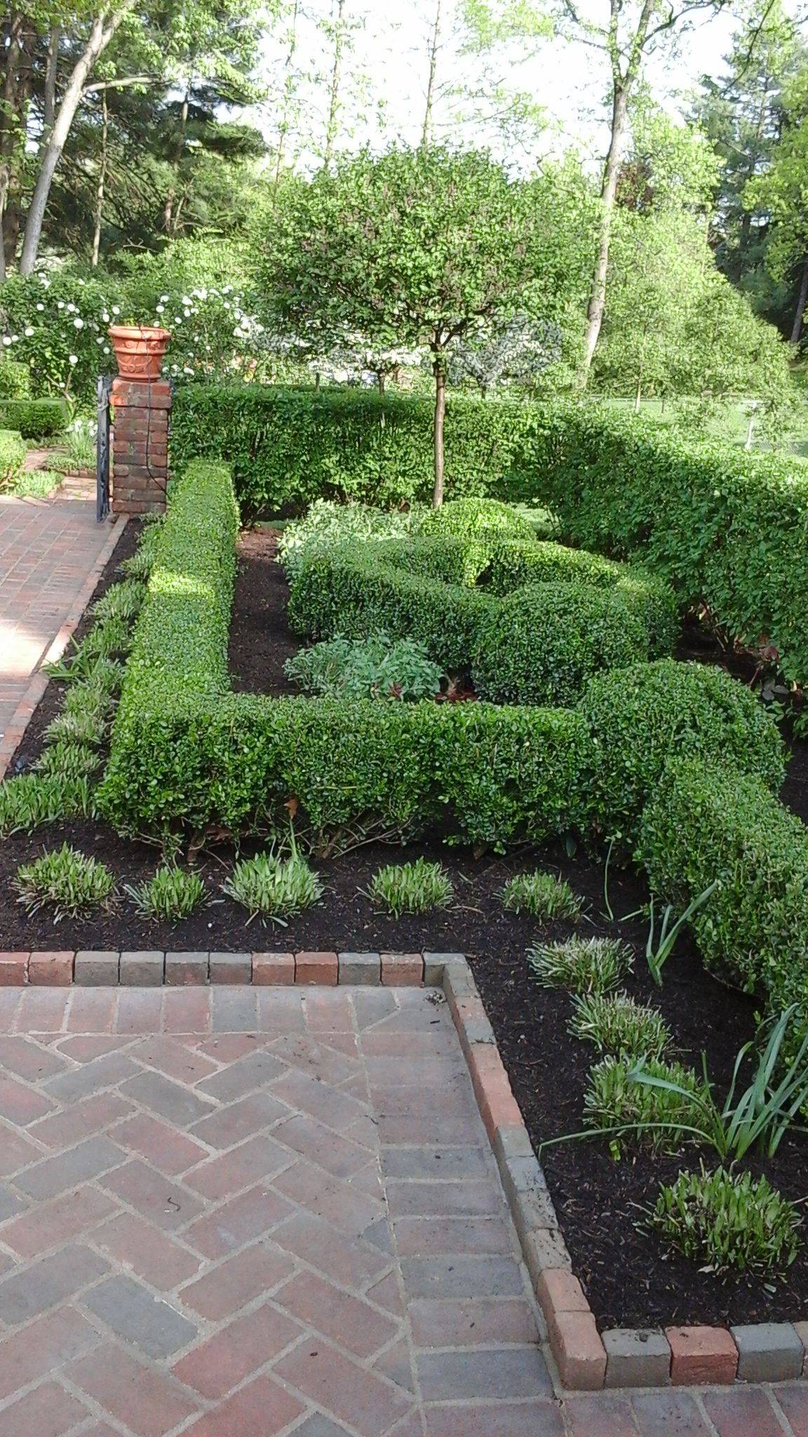 Beautiful Boxwood Garden Ideas