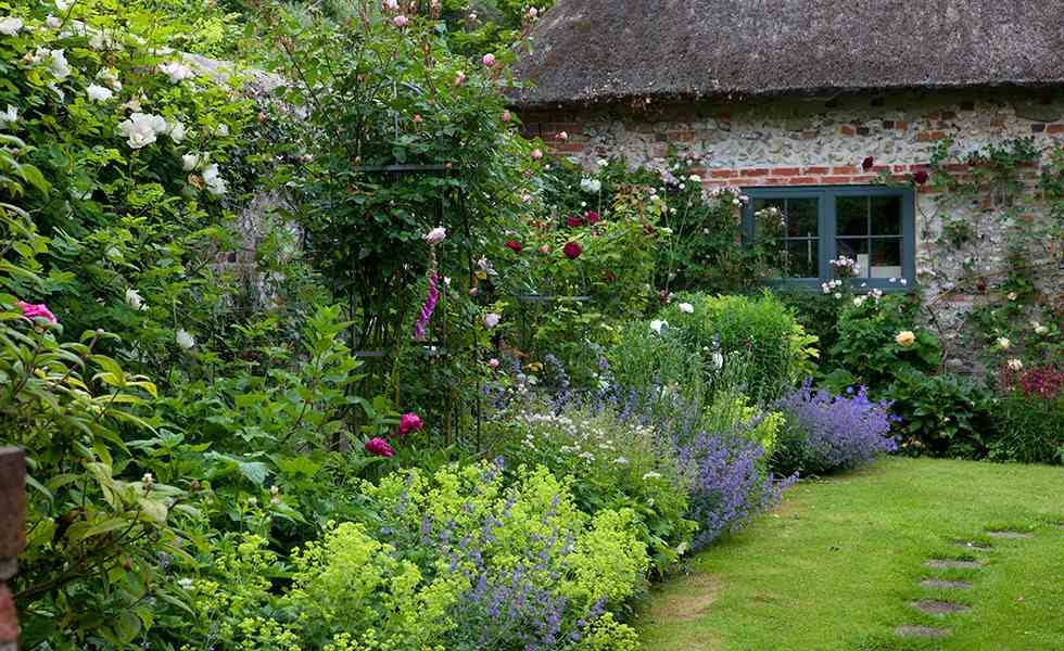 Garden Google Search Small English Garden