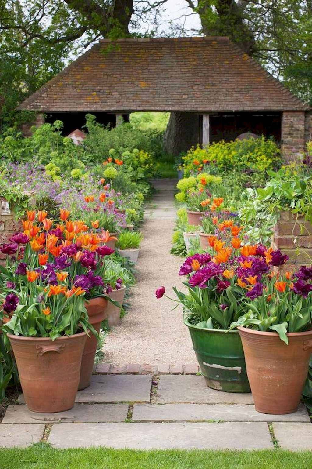 Graceful Container Garden Ideas