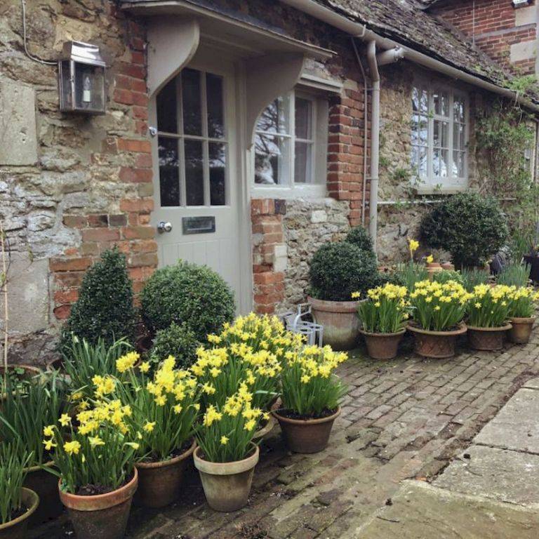 English Flower Garden Pictures