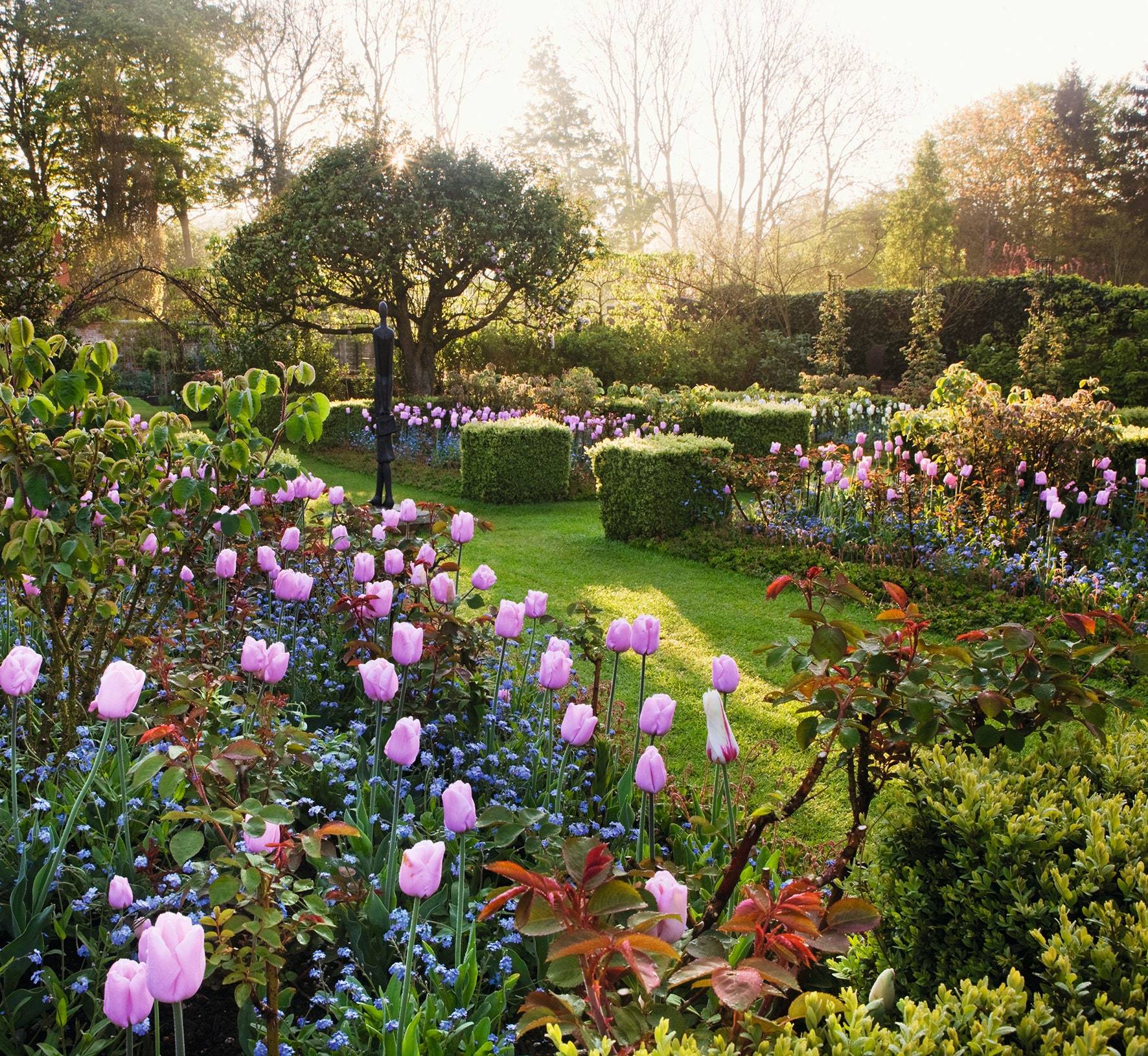 English Flower Garden Pictures