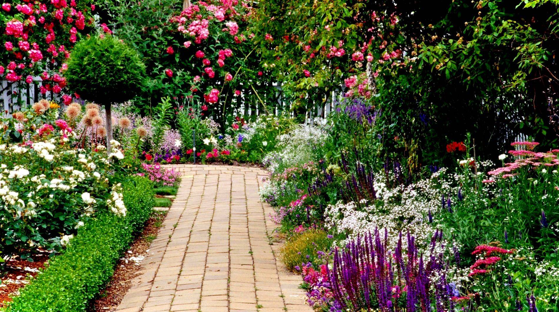 Lovely Garden Landscape Design